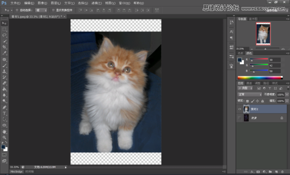 Photoshop制作创意的星空装饰的猫咪图片,PS教程