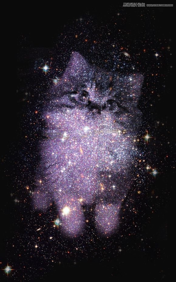 Photoshop制作创意的星空装饰的猫咪图片,PS教程