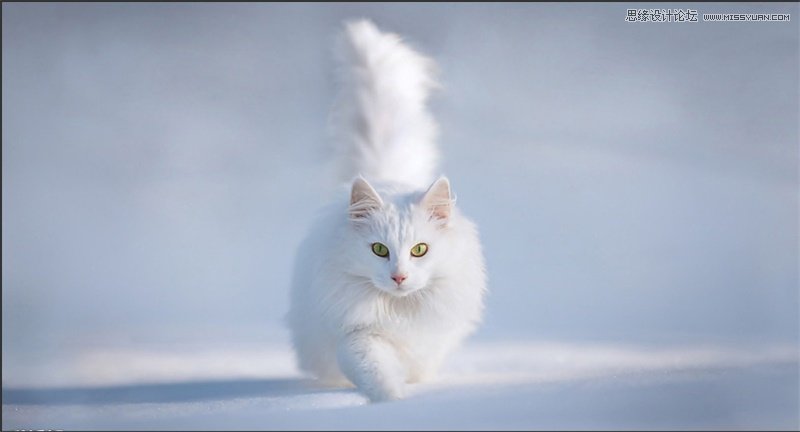 photoshopϸԵڿͼʵӦ