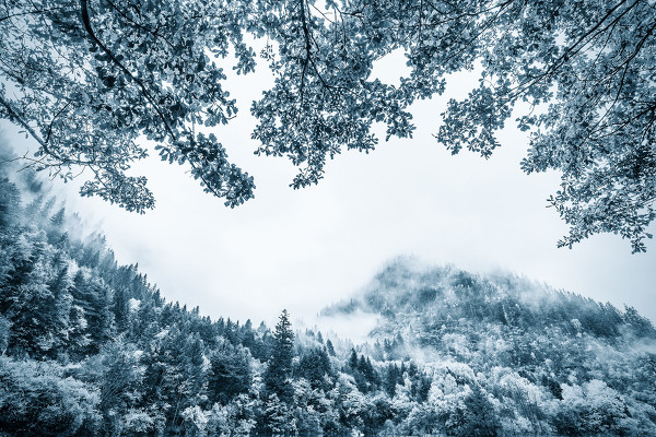 Photoshop结合LR调出风景照片唯美冷色调,PS教程,