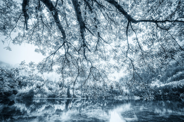 Photoshop结合LR调出风景照片唯美冷色调,PS教程,