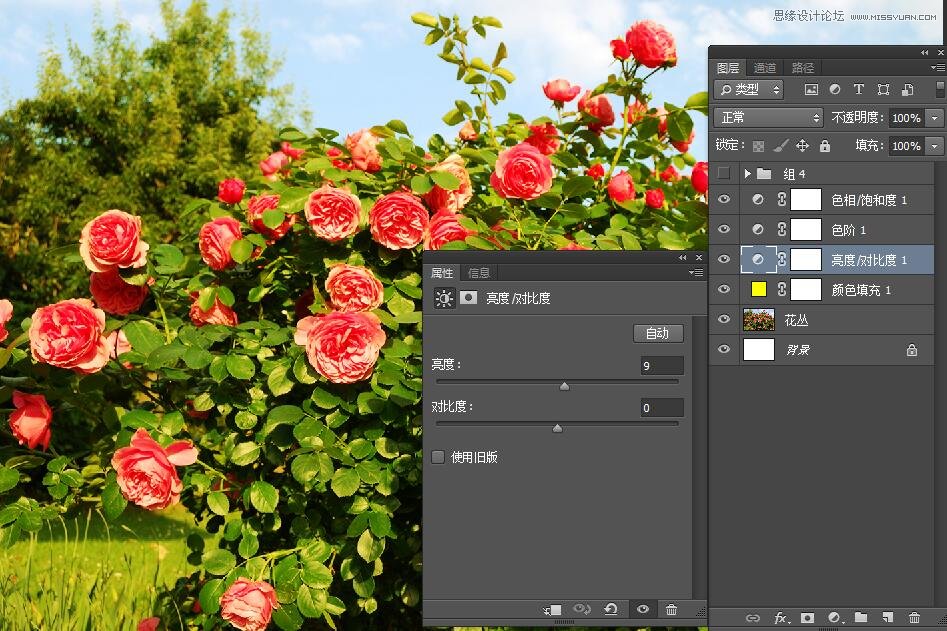 PhotoshopΪԪصıֽ