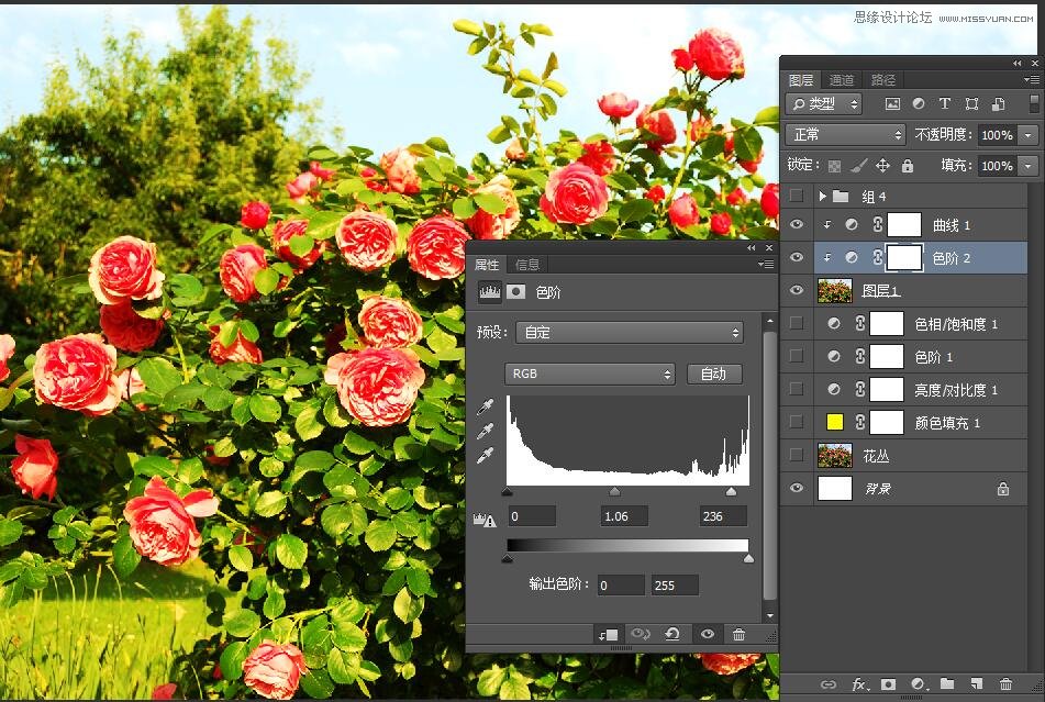PhotoshopΪԪصıֽ