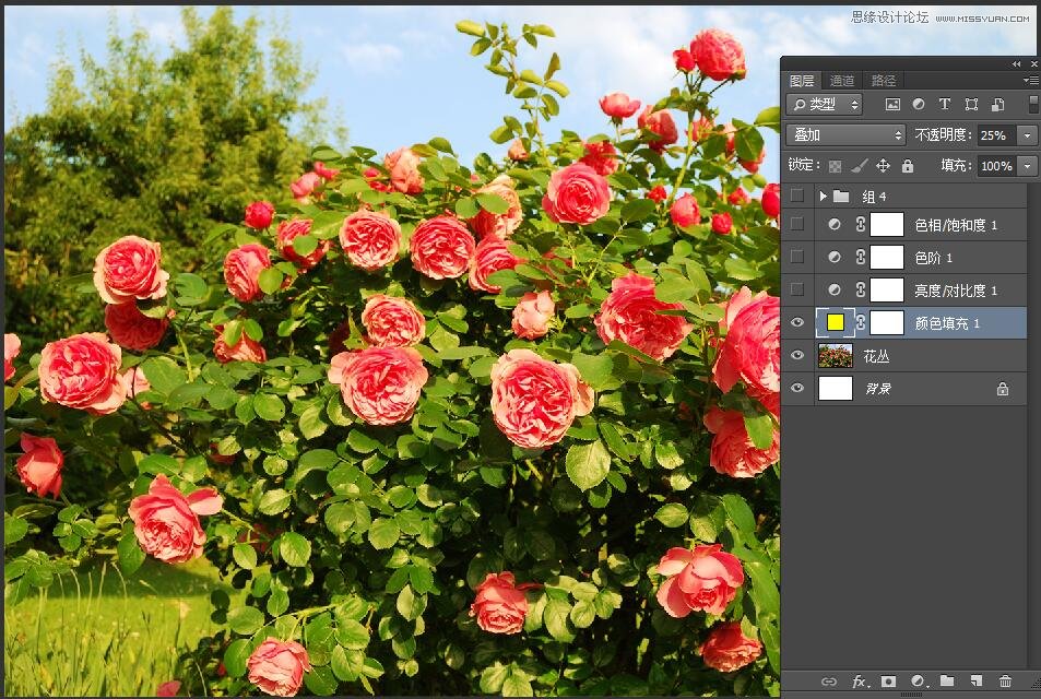 PhotoshopΪԪصıֽ