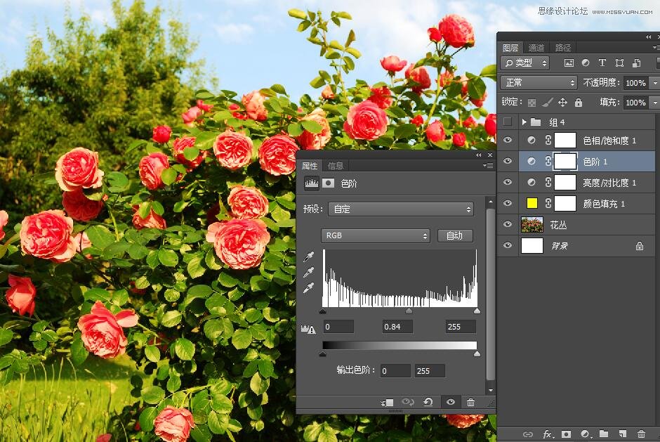 PhotoshopΪԪصıֽ
