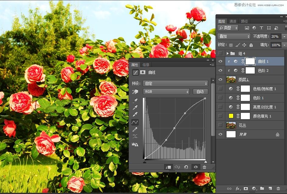 PhotoshopΪԪصıֽ