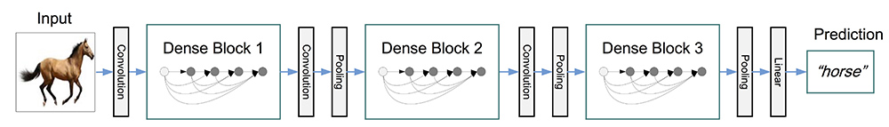 densenet