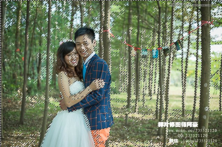 Photoshop调出林中外景婚片小清新色调,PS教程
