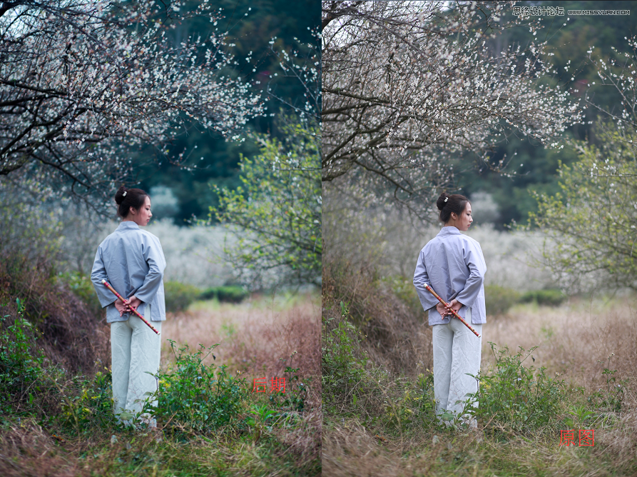 Photoshop设计中国风梅花人像冷色效果,PS教程