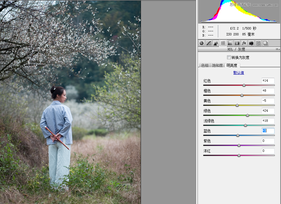 Photoshop设计中国风梅花人像冷色效果,PS教程