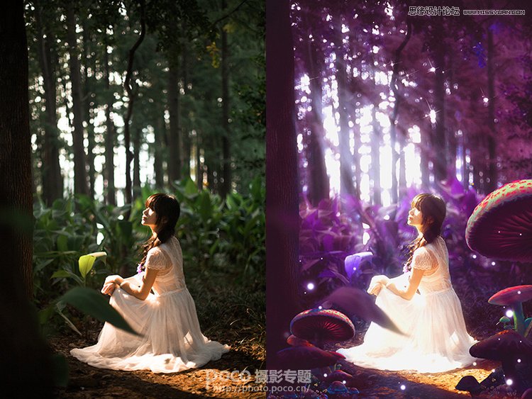 Photoshop调出梦幻风格的森林公主场景图,PS教程