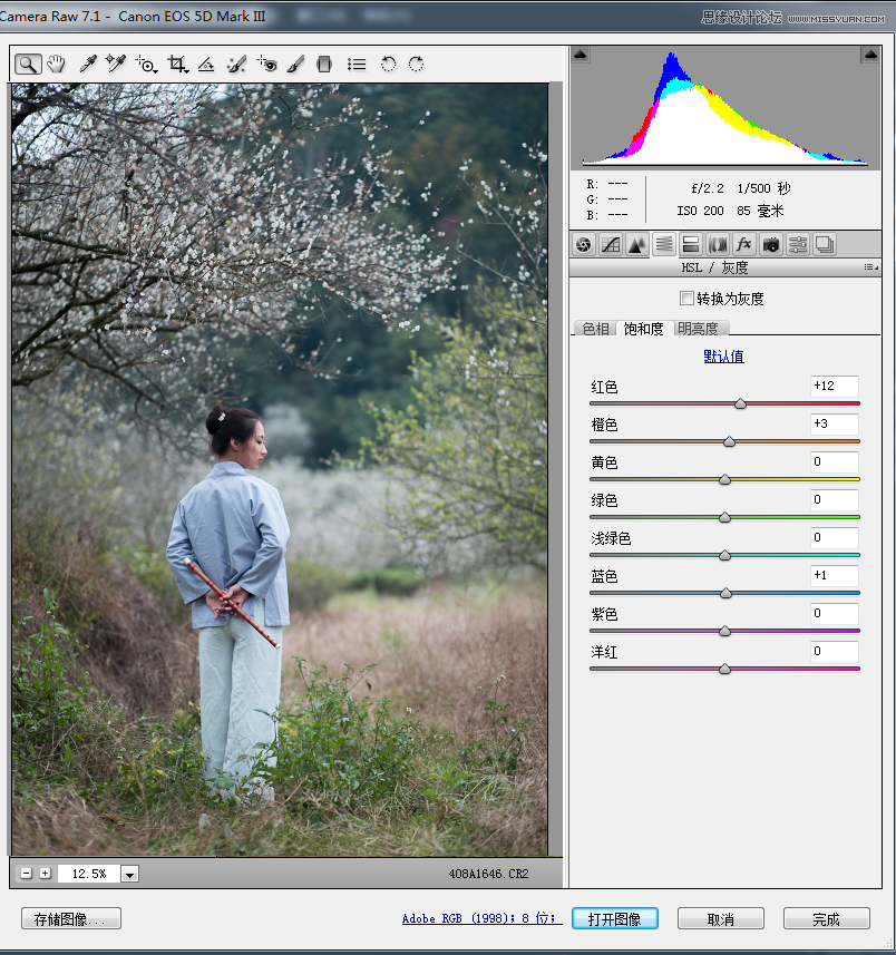Photoshop设计中国风梅花人像冷色效果,PS教程