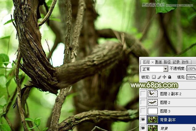 Photoshopֽ̳,PS̳