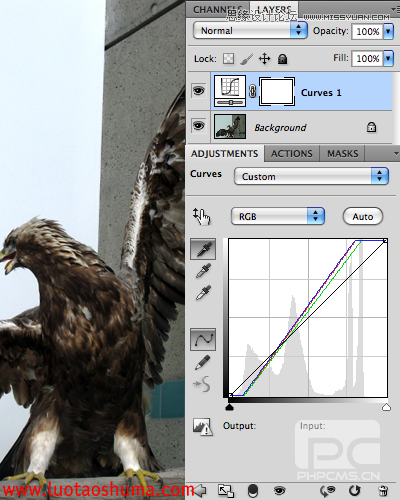 PhotoshopϳƻĶʹ̳