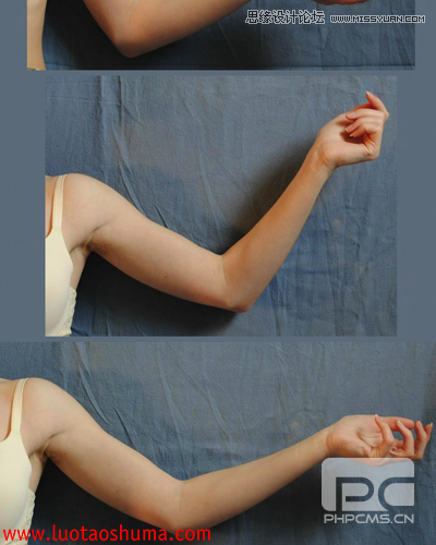 PhotoshopϳƻĶʹ̳