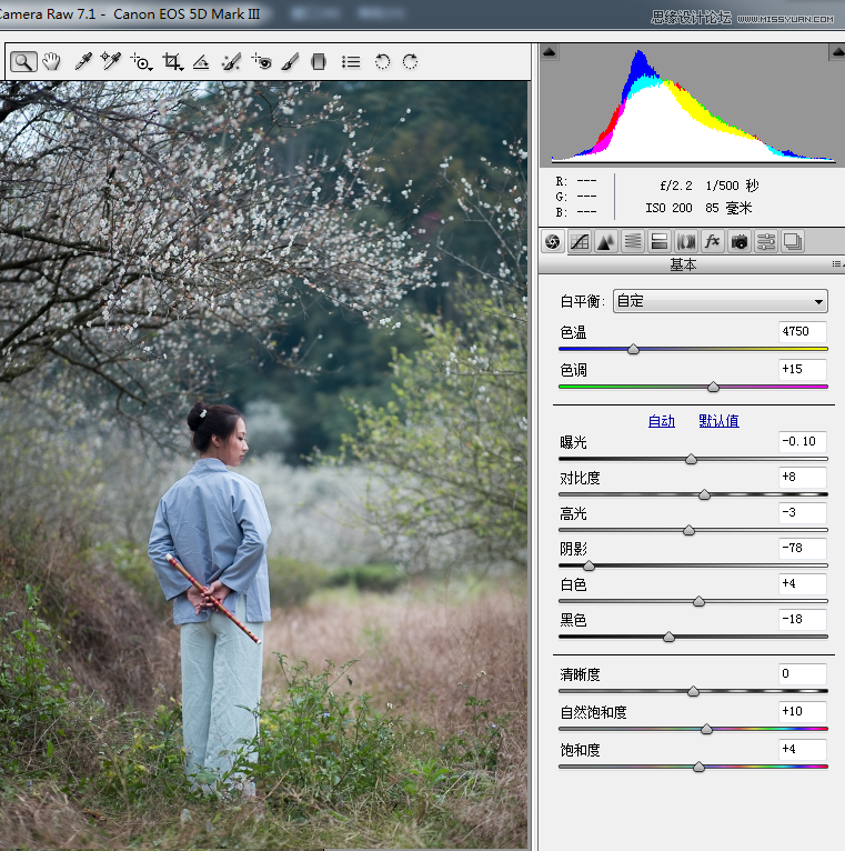 Photoshop设计中国风梅花人像冷色效果,PS教程
