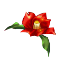Photoshopʱǩ,PS̳