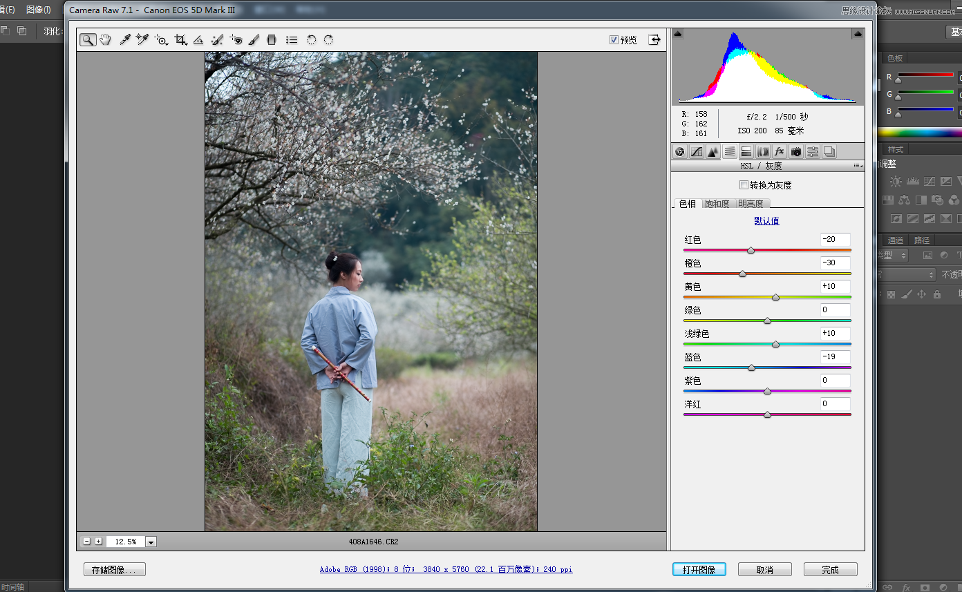 Photoshop设计中国风梅花人像冷色效果,PS教程