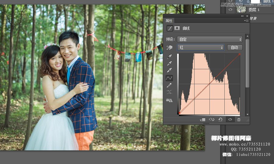 Photoshop调出林中外景婚片小清新色调,PS教程