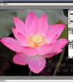 PhotoshopͼMask Pro 3.0˾