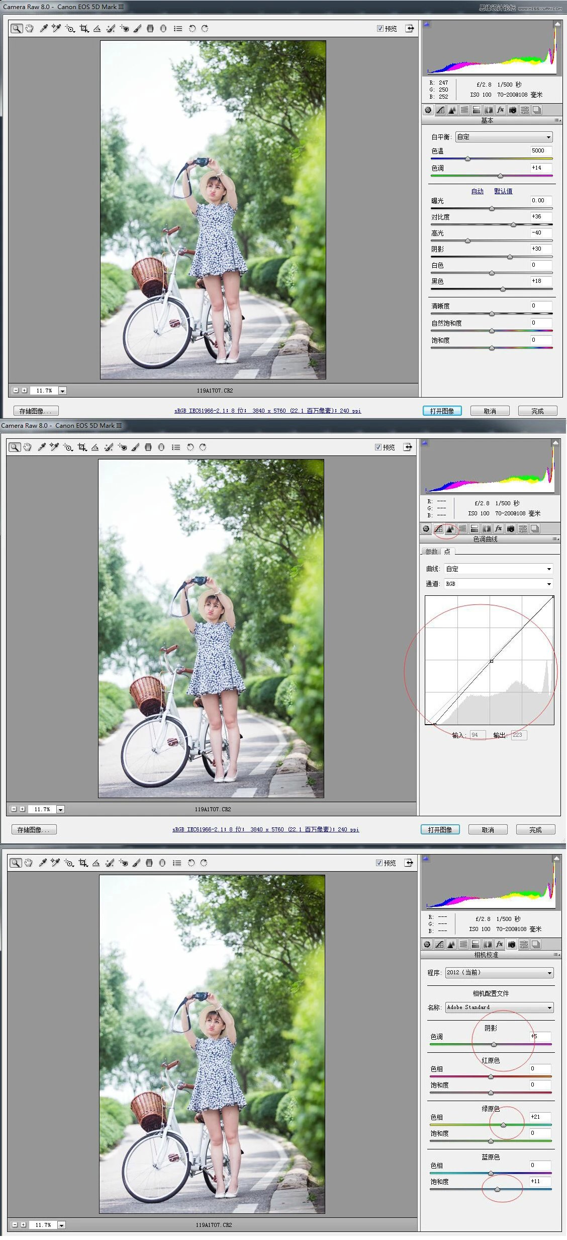 Photoshop调色调出夏季小清新效果的外景人像