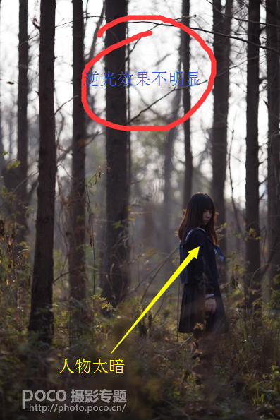 Photoshop给森林人像添加甜美的逆光效果
