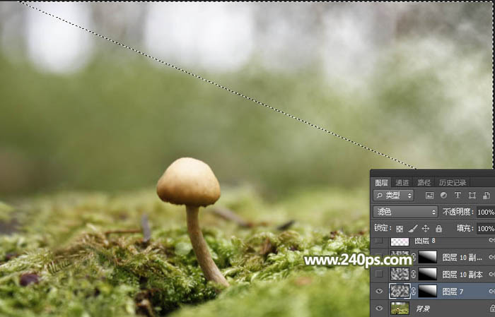 Photoshop合成坐在蘑菇上的小天使场景图片