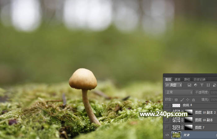 Photoshop合成坐在蘑菇上的小天使场景图片