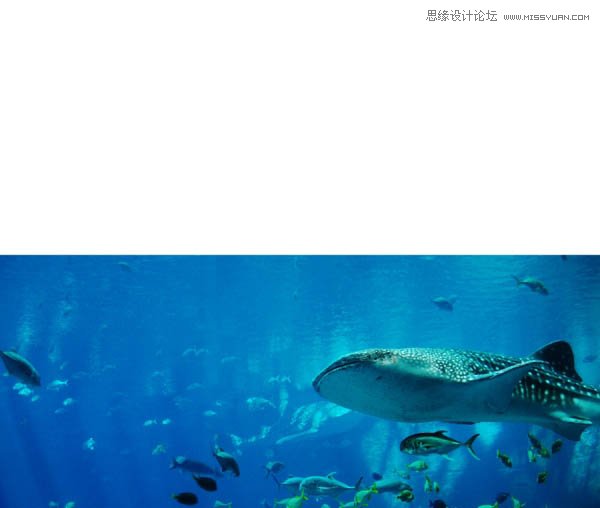 Photoshop合成乘鞋环游大海的小猫图片教程