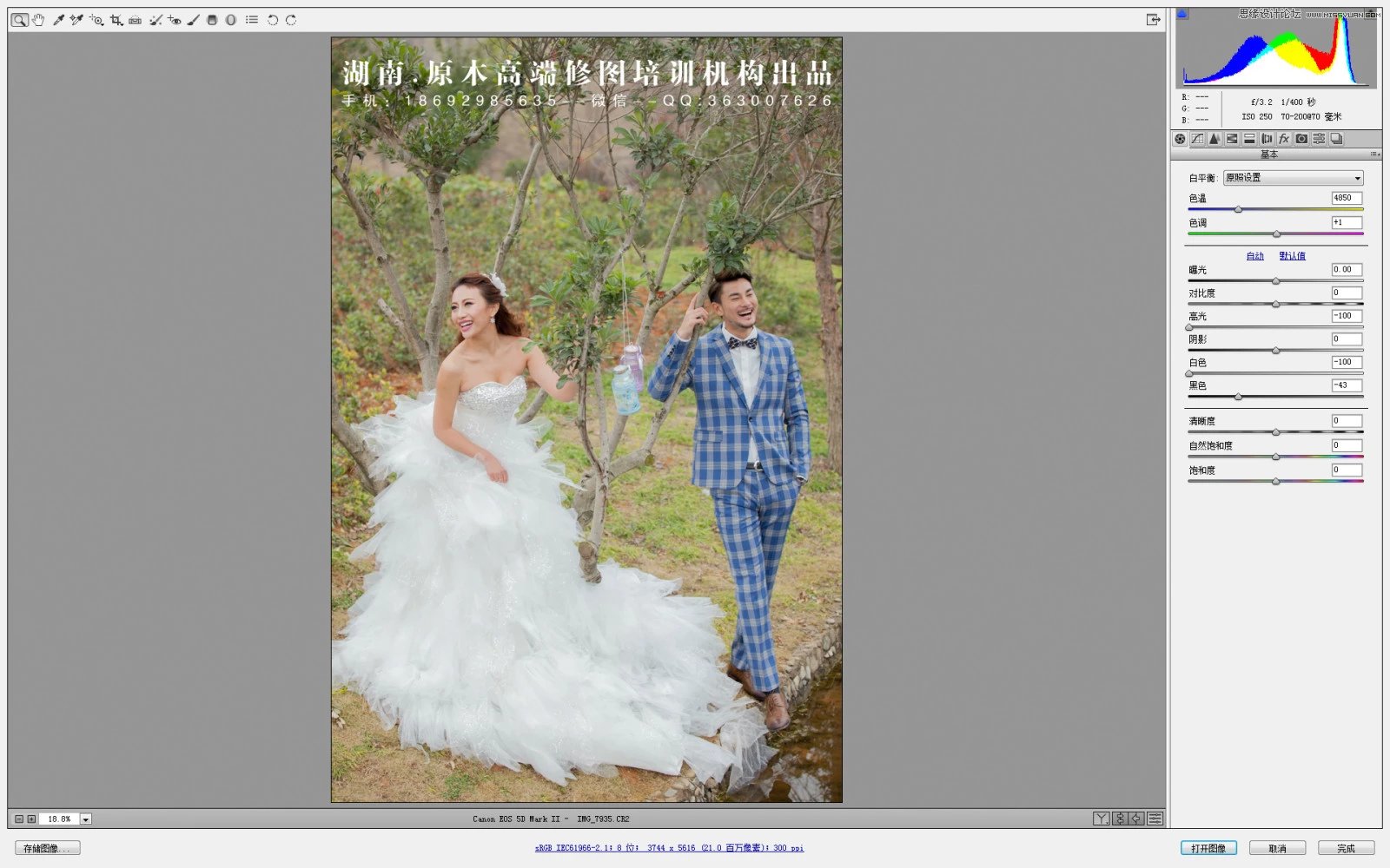 Photoshop调出灰蒙蒙外景婚片清新色调