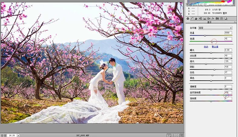 Photoshop制作唯美桃花仙境效果的外景婚纱照片