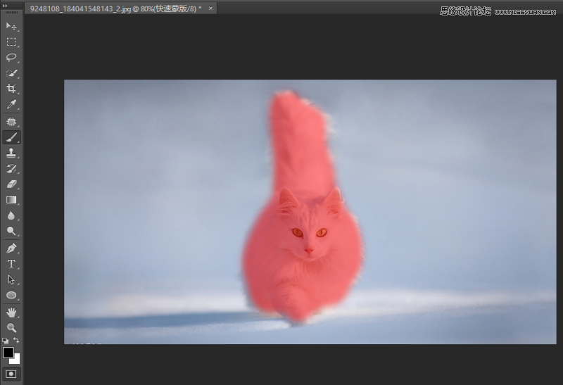 详细解析Photoshop调整边缘在抠图实例中应用