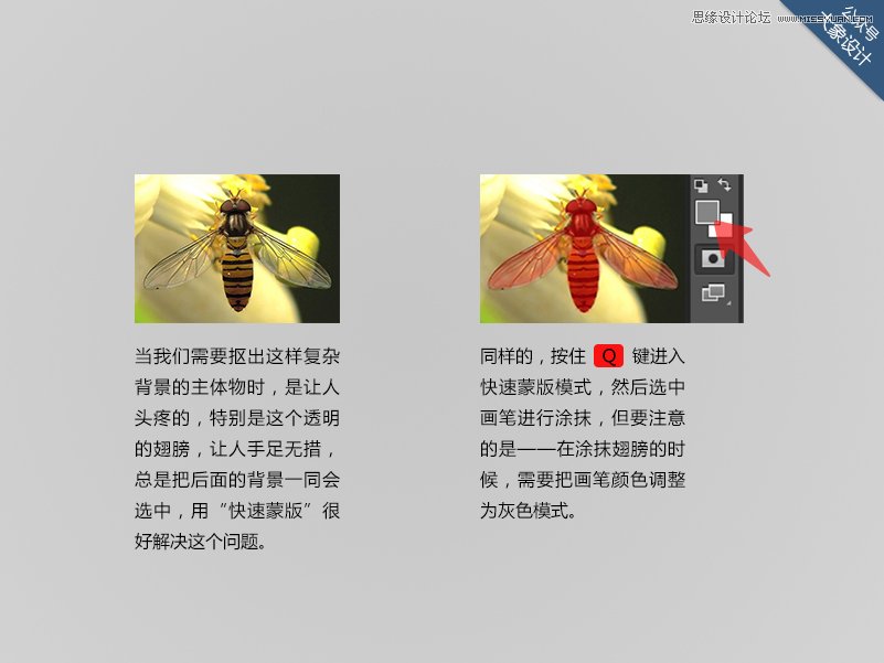 ҪPhotoshop7С