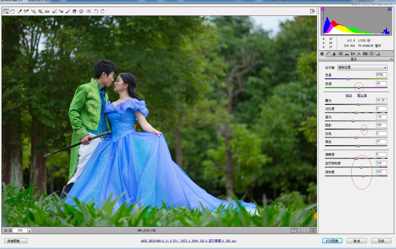 Photoshop调出外景婚纱照片春季清新效果图
