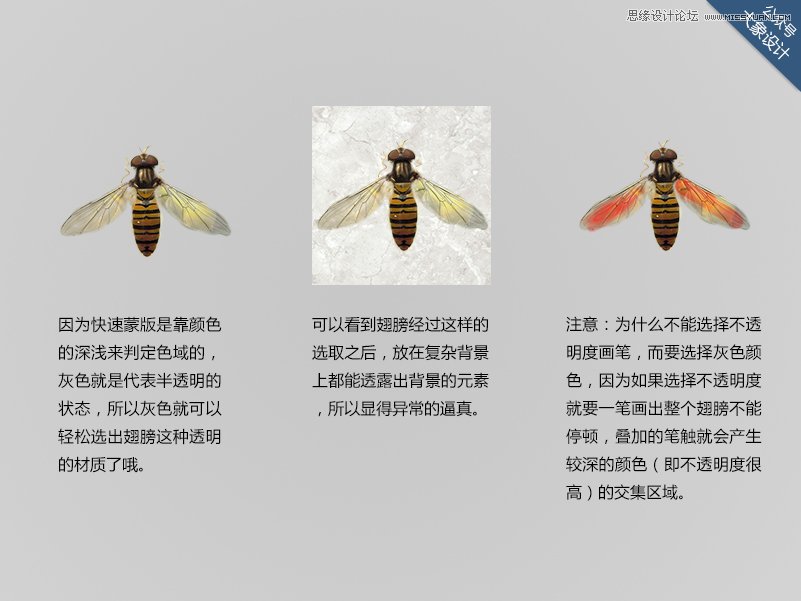ҪPhotoshop7С