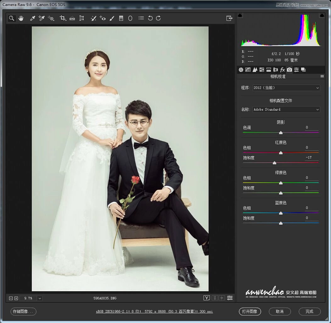 Photoshop调出室内婚纱照片韩式艺术效果