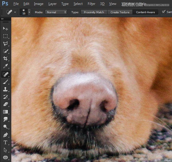 利用Photoshop涂抹工具把照片转为绘画效果