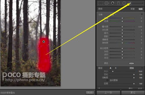 Photoshop给森林人像添加甜美的逆光效果