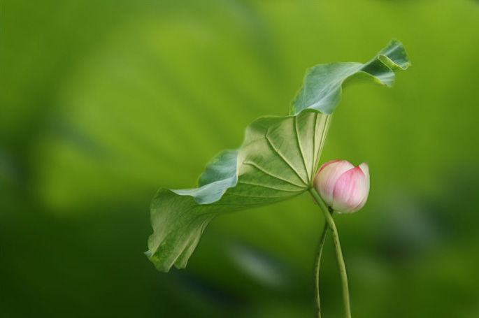 photoshopٵ黯ɻͻ,PS̳,