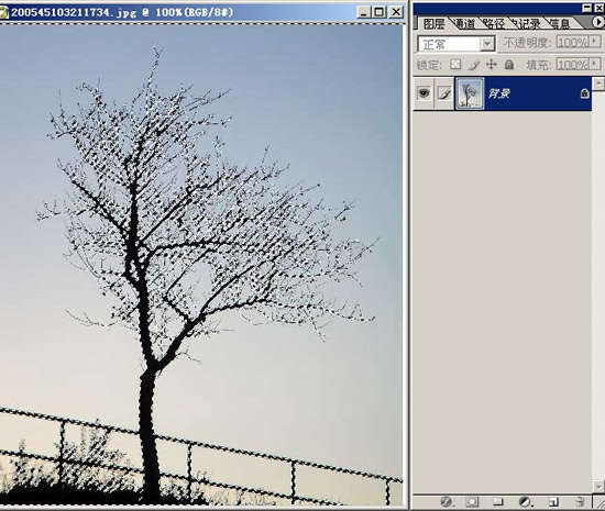 ѧϰPhotoshopȡή֦PSͼ̳