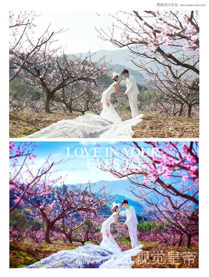 Photoshop制作唯美桃花仙境效果的外景婚纱照片