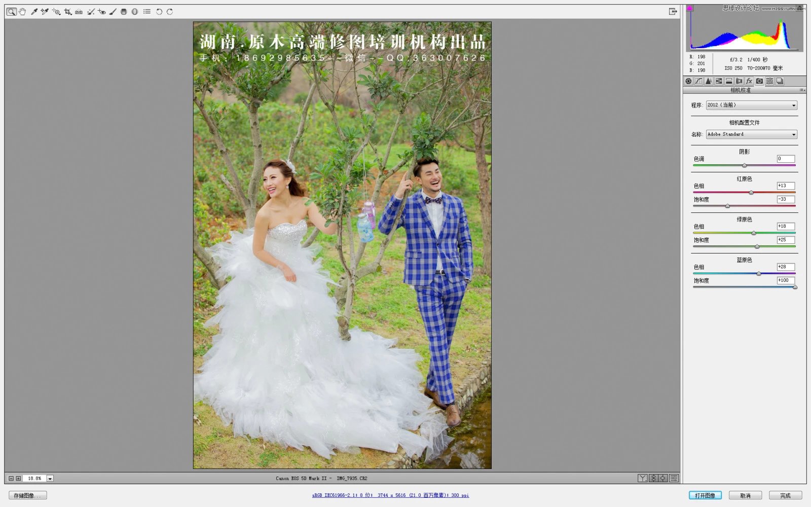 Photoshop调出灰蒙蒙外景婚片清新色调