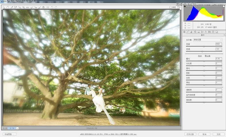 Photoshop制作唯美蓝色艺术效果的外景婚纱照片