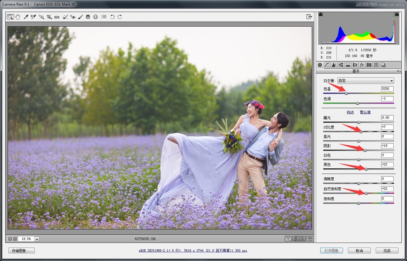 Photoshop调出唯美色彩的薰衣草外景婚纱照片