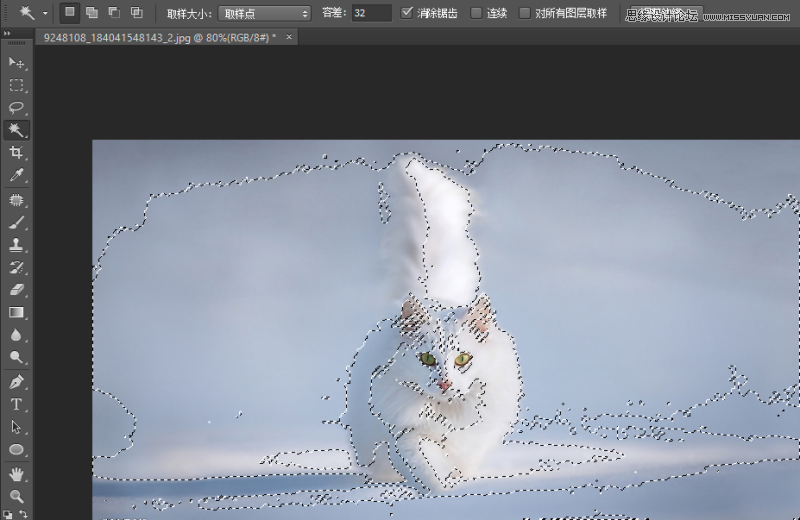 详细解析Photoshop调整边缘在抠图实例中应用