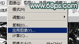 Photoshop给森林人像照片添加阳光光线效果