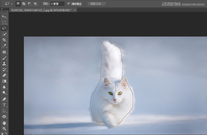 详细解析Photoshop调整边缘在抠图实例中应用
