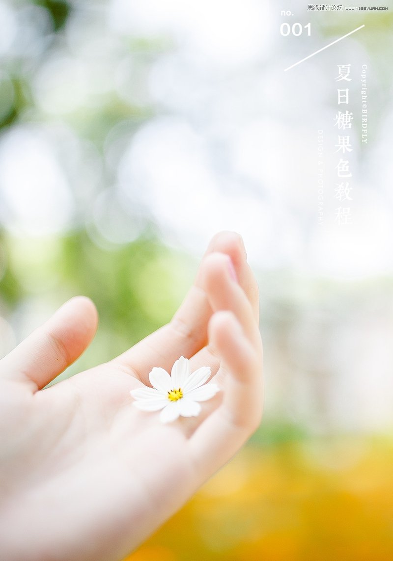 photoshop调出色彩缤纷的夏季外景效果图