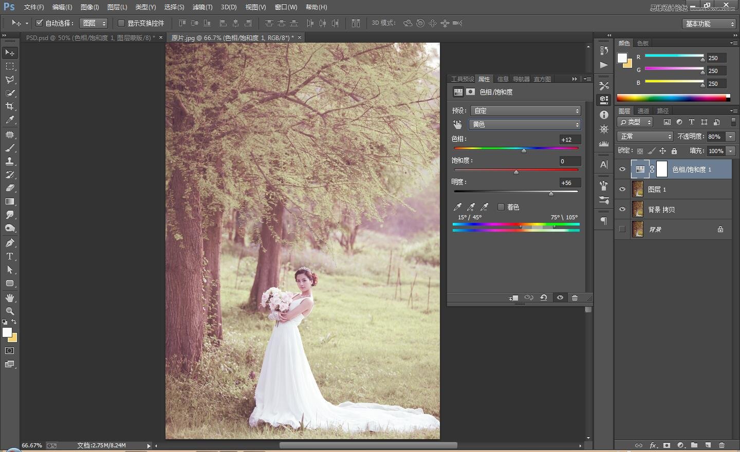 Photoshop调出古典唯美效果图的外景婚片调色