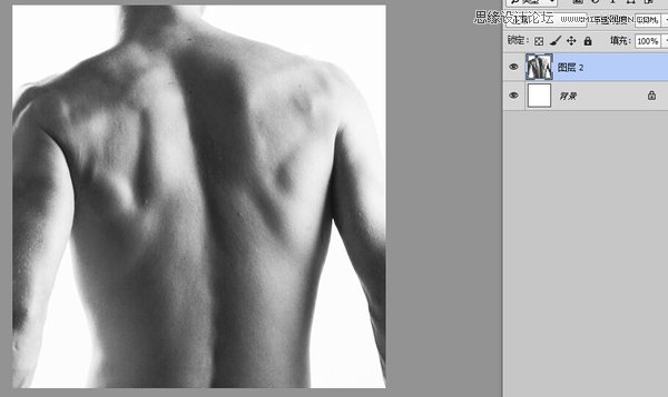 Photoshop制作男人背部被撕开的伤口效果